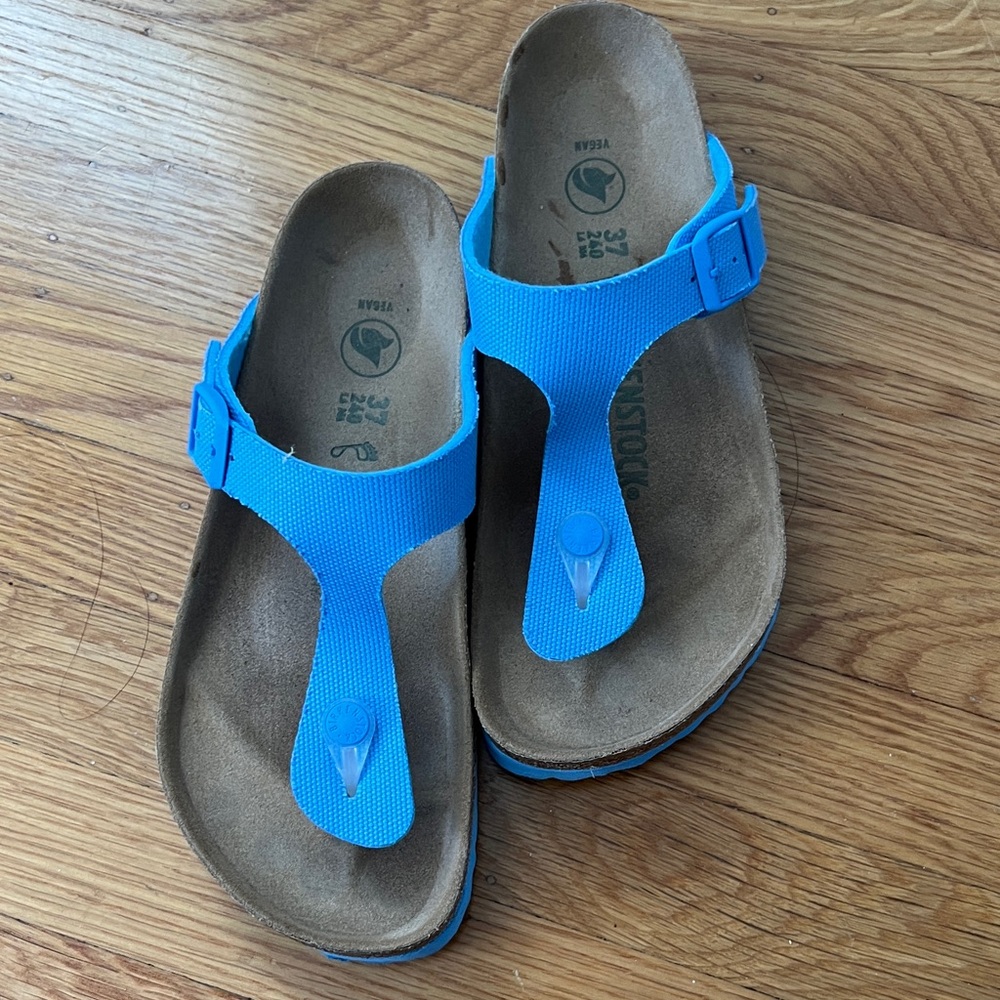 Birkenstock Blue Sandals